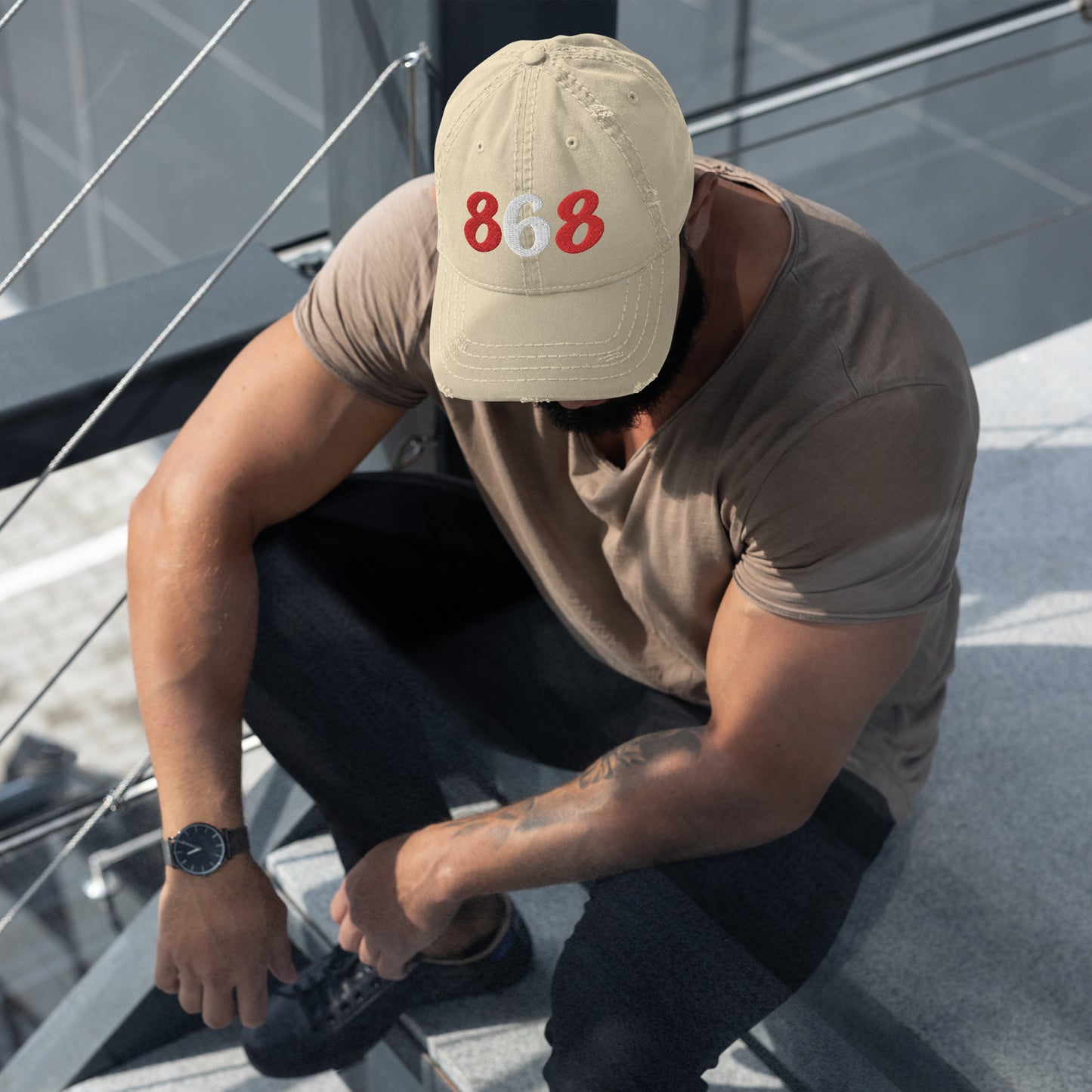 868 Distressed Hat