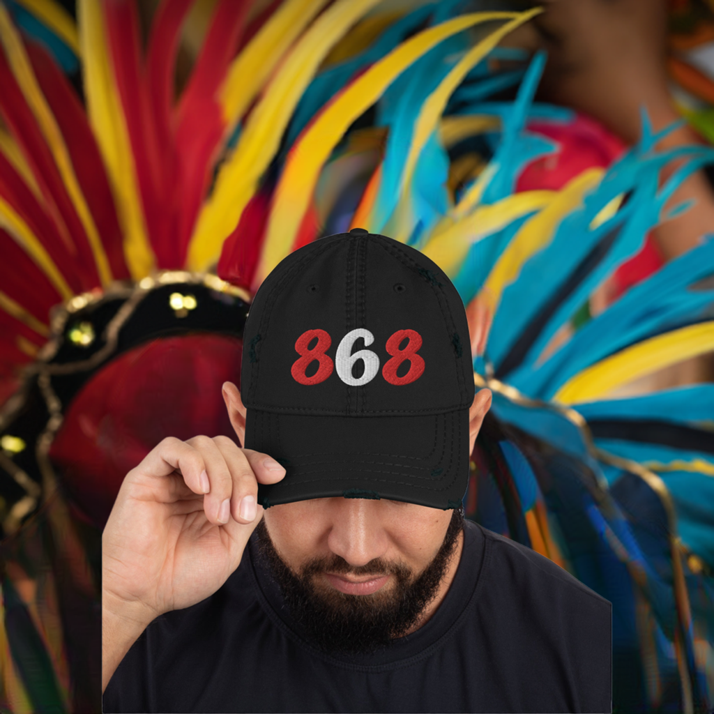 868 Distressed Hat